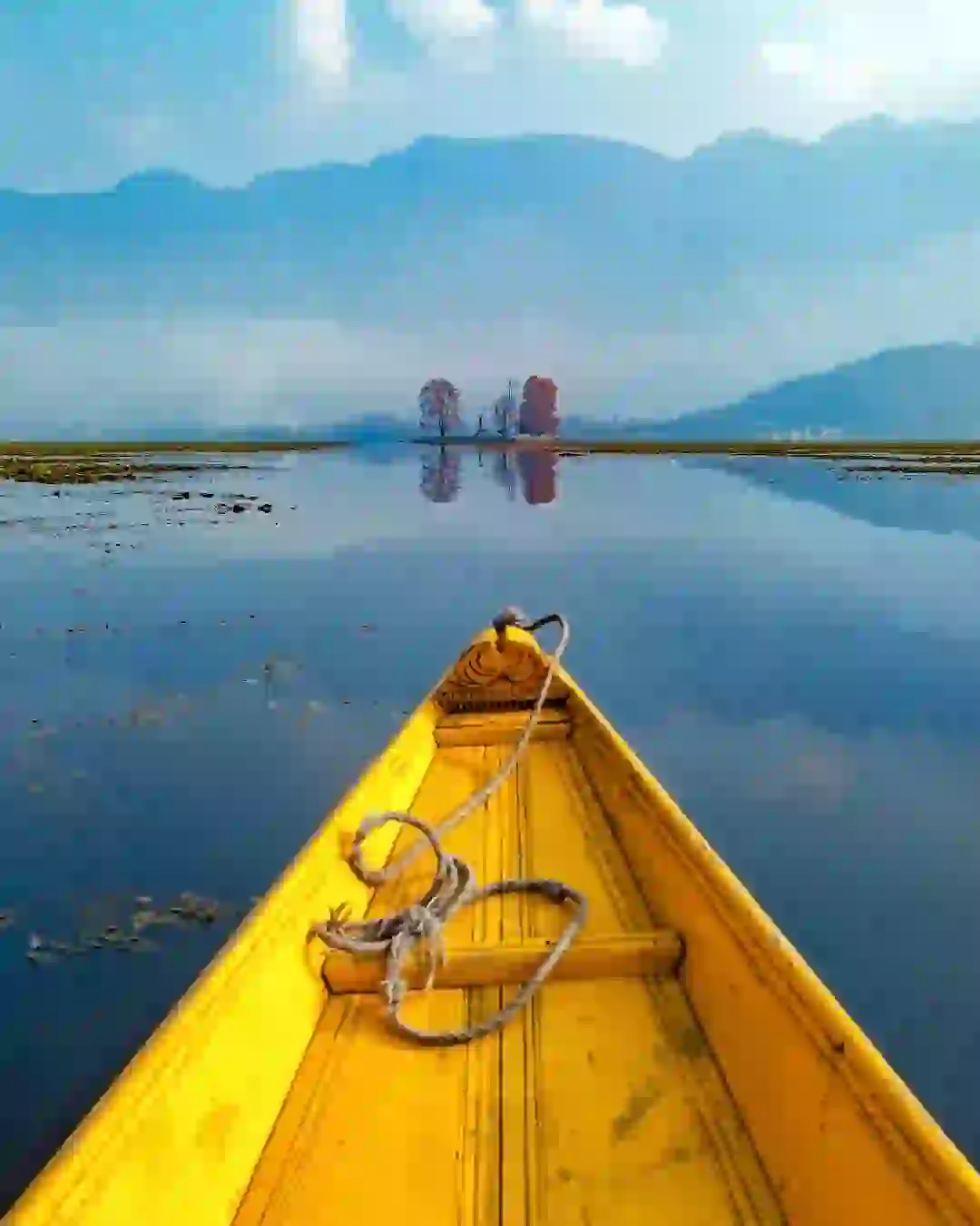 Srinagar