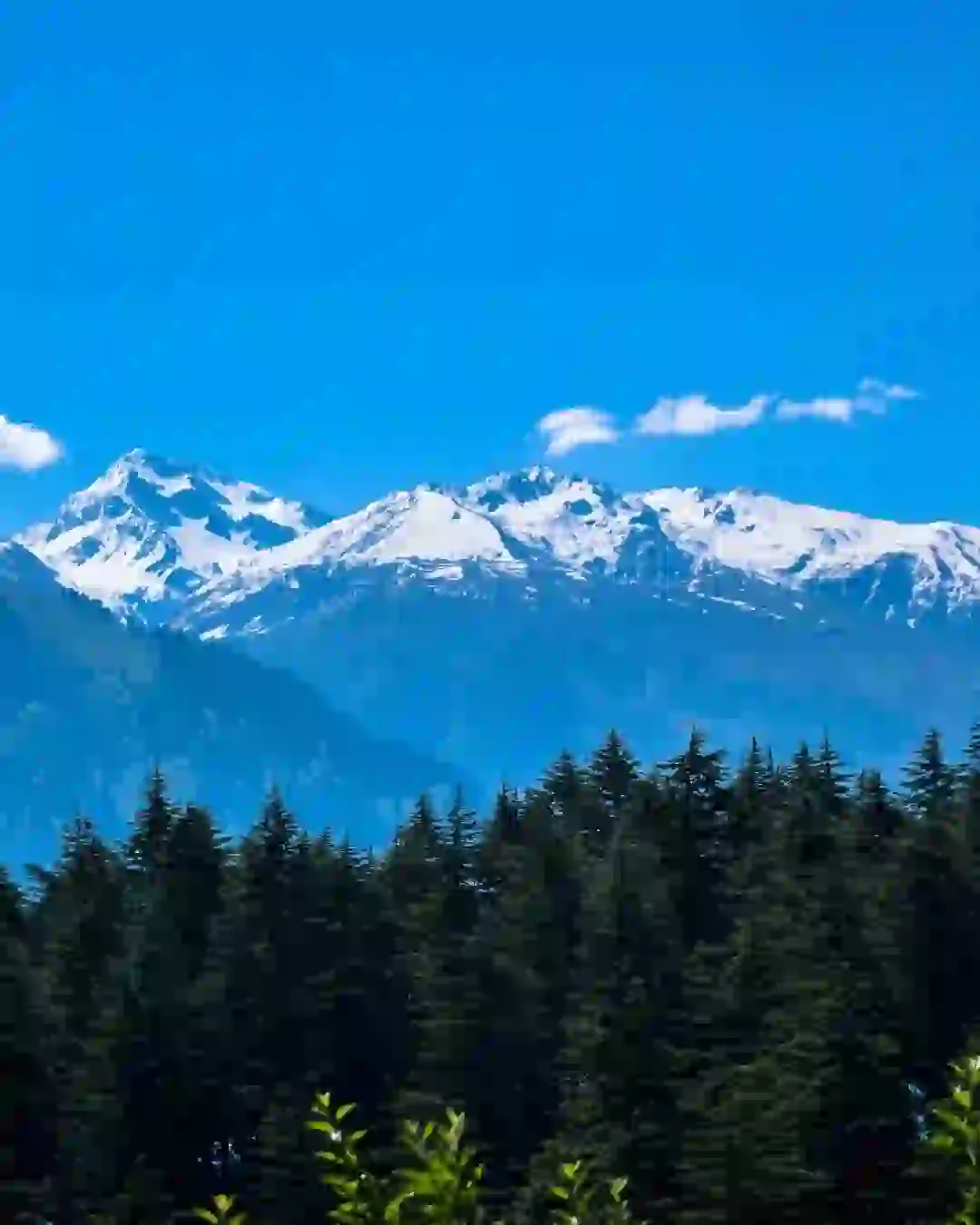 Manali